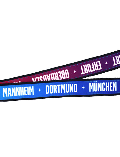 Lanyard